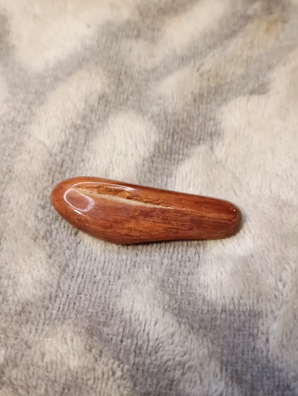 Petrified Wood Wire Stone